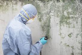 Why You Should Choose Our Mold Remediation Services in Stockbridge, GA